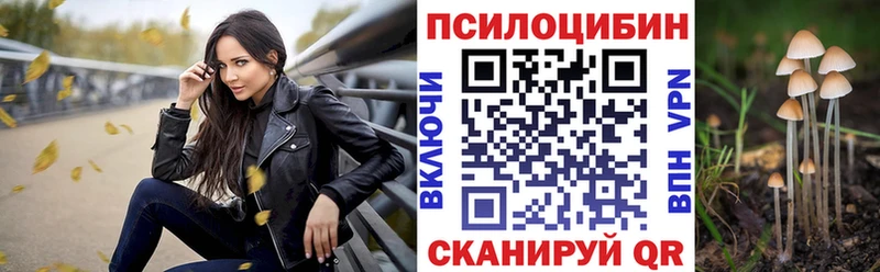 Галлюциногенные грибы мухоморы  нарко площадка наркотические препараты  Новотроицк 